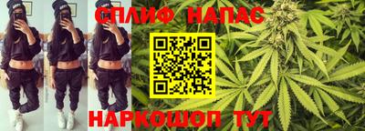 PSILOCYBIN Севастополь