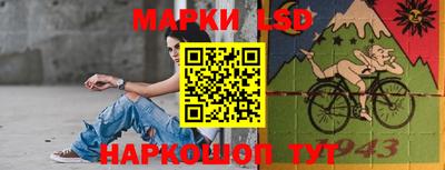 хмурый Сланцы