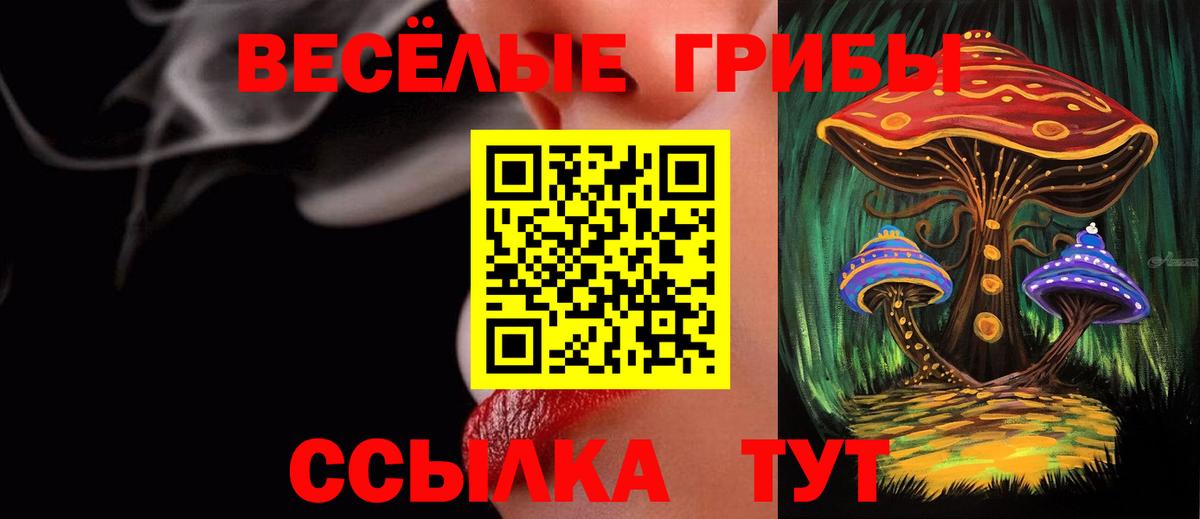 Галлюциногенные грибы Cubensis Нягань